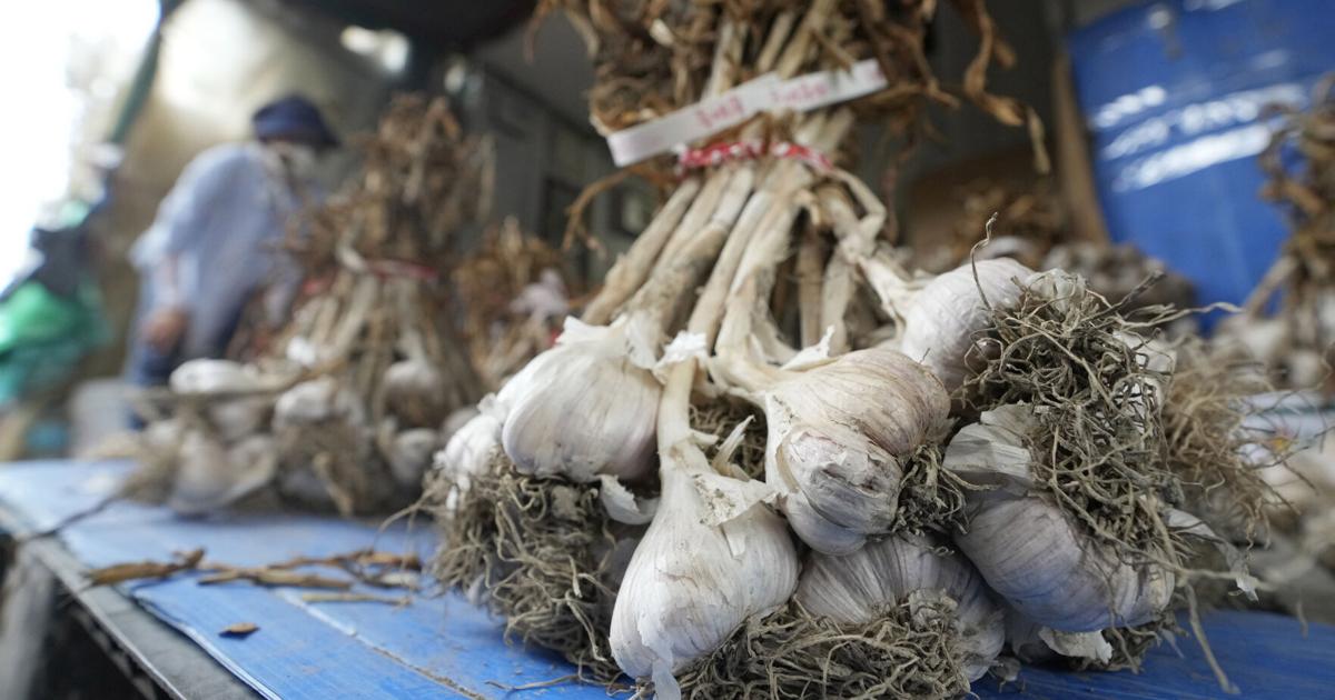 S Korean garlic video ad roasted over purported obscenity Business